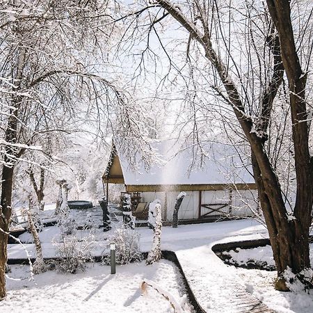 Luxury Vineyard Resort Chateau Ramsak Maribor Extérieur photo