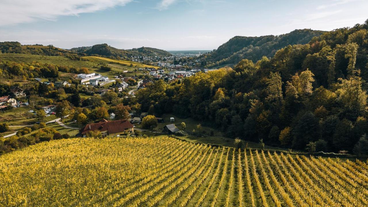 Luxury Vineyard Resort Chateau Ramsak Maribor Extérieur photo